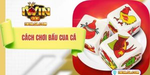 cách chơi bầu cua cá