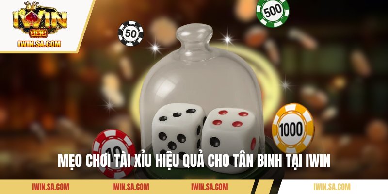Đánh Giá Game Tài Xỉu MD5 - Sự Thật Phía Sau Những Ván Cược 3 Mẹo chơi tài xỉu hiệu quả cho tân binh tại IWIN