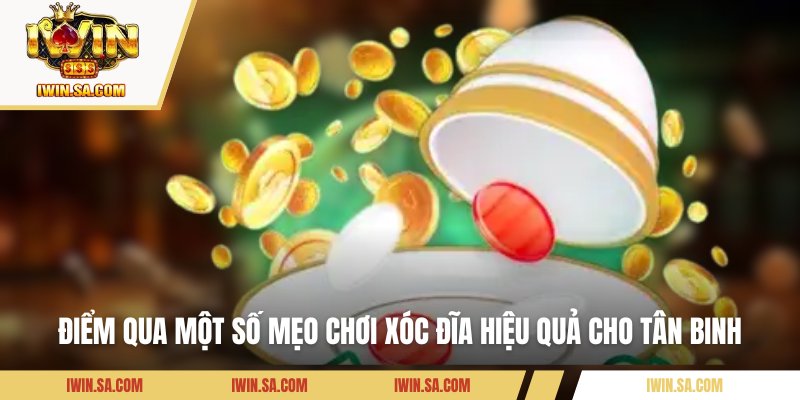 Điểm qua một số mẹo chơi xóc đĩa hiệu quả cho tân binh